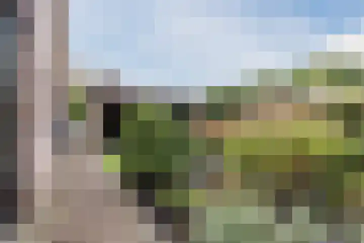 Tonnendijk 52 Vroomshoop thumbnail 5