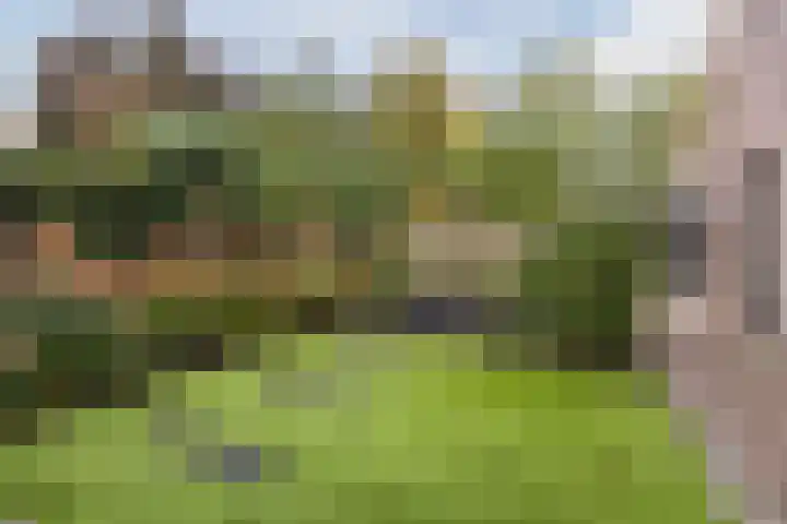Tonnendijk 52 Vroomshoop thumbnail 50