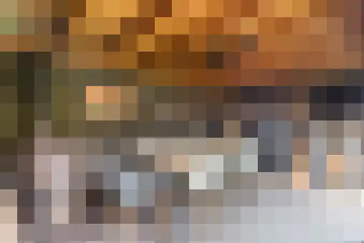 Tonnendijk 52 Vroomshoop thumbnail 51