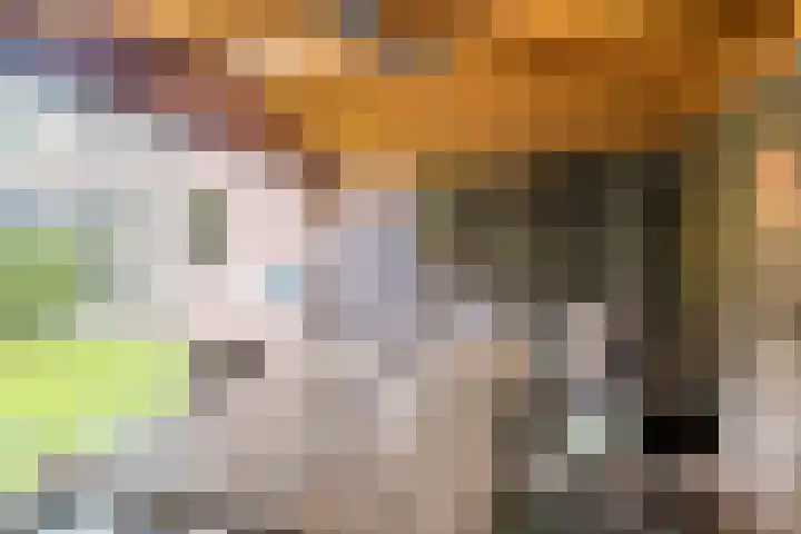 Tonnendijk 52 Vroomshoop thumbnail 53
