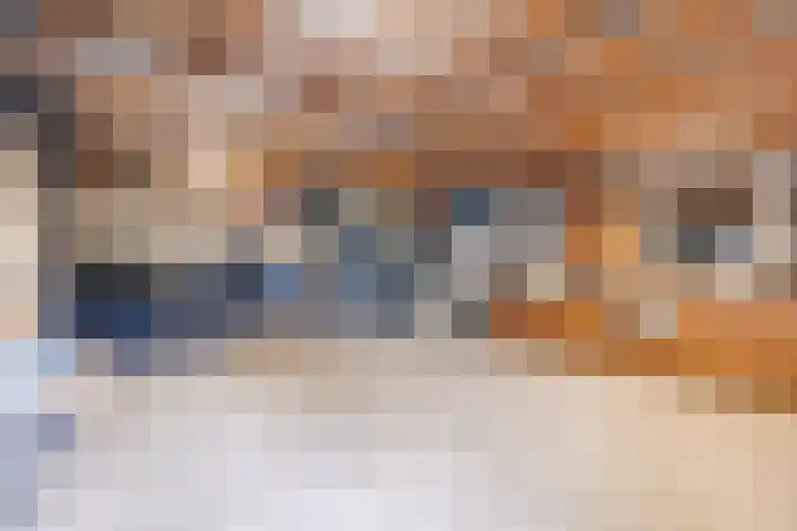 Tonnendijk 52 Vroomshoop thumbnail 54