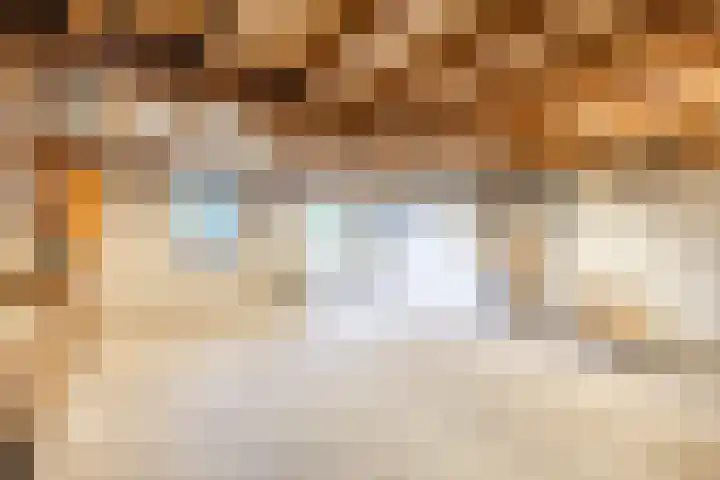 Tonnendijk 52 Vroomshoop thumbnail 56