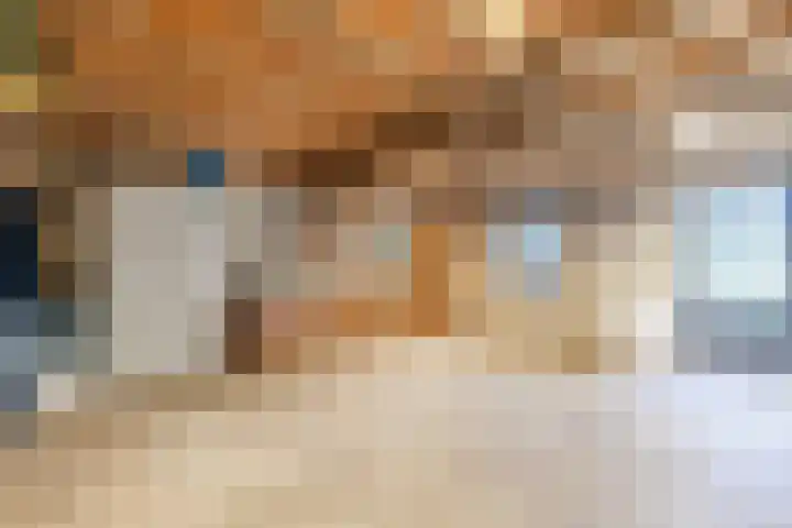Tonnendijk 52 Vroomshoop thumbnail 57