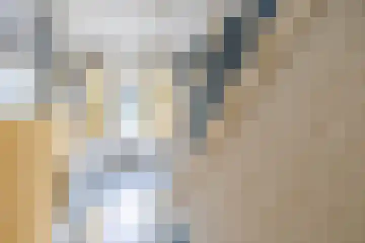 Tonnendijk 52 Vroomshoop thumbnail 6