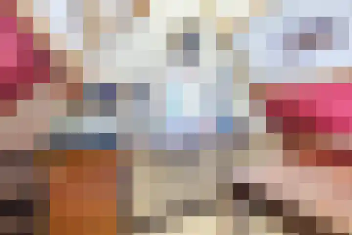 Tonnendijk 52 Vroomshoop thumbnail 60