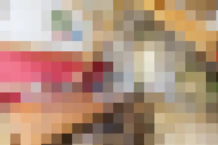 Tonnendijk 52 Vroomshoop thumbnail 61