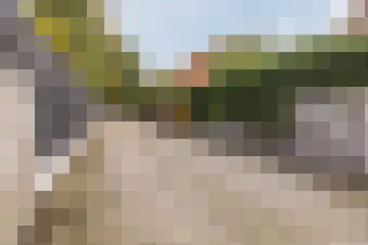 Tonnendijk 52 Vroomshoop thumbnail 62
