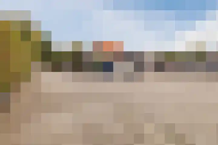 Tonnendijk 52 Vroomshoop thumbnail 65