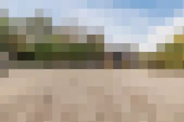 Tonnendijk 52 Vroomshoop thumbnail 67