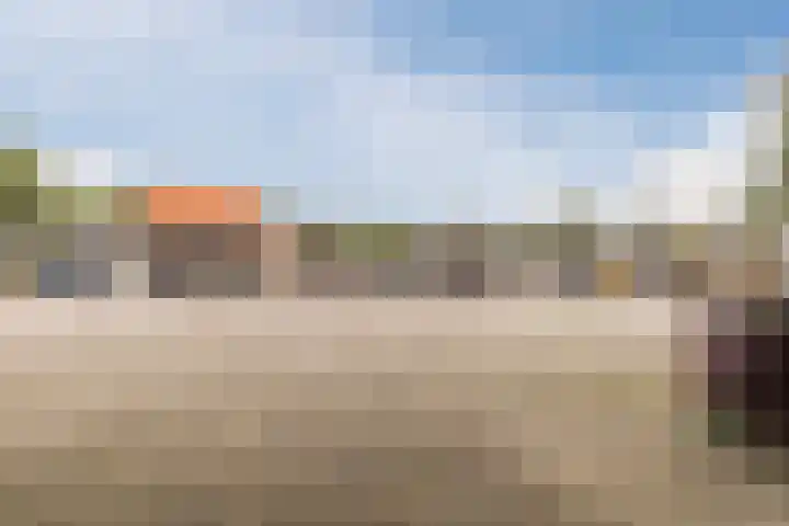 Tonnendijk 52 Vroomshoop thumbnail 68