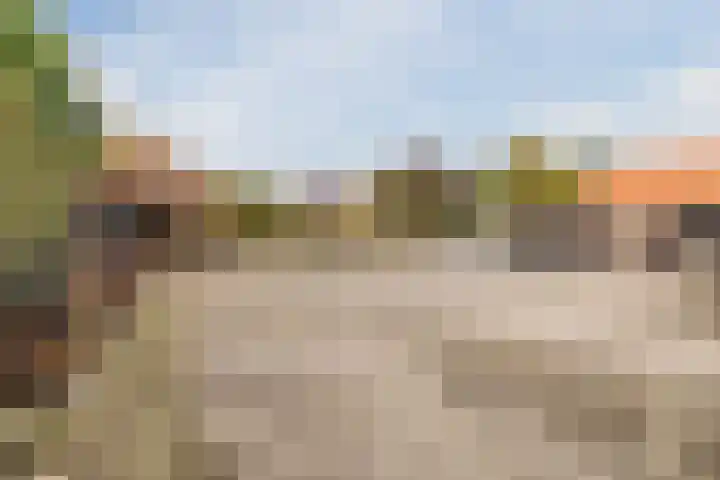 Tonnendijk 52 Vroomshoop thumbnail 69