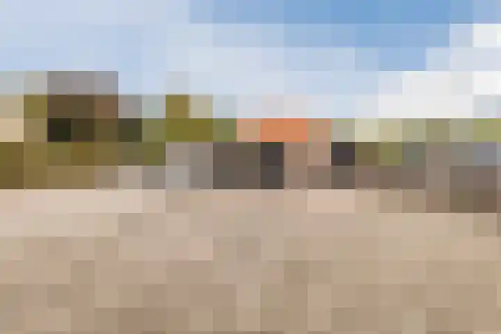 Tonnendijk 52 Vroomshoop thumbnail 70