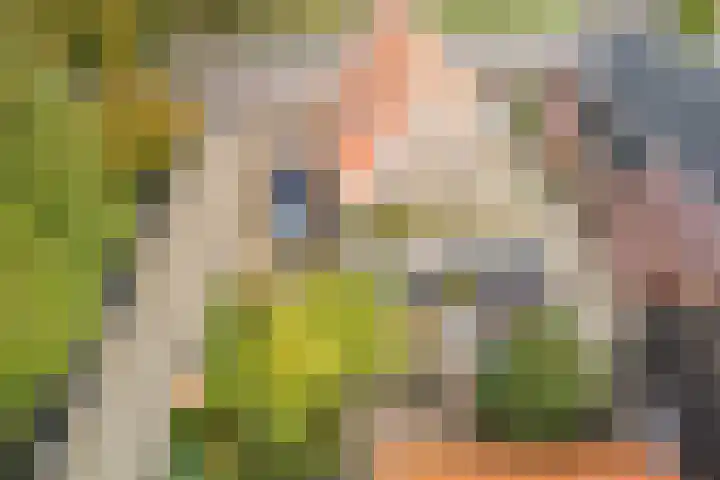 Tonnendijk 52 Vroomshoop thumbnail 73