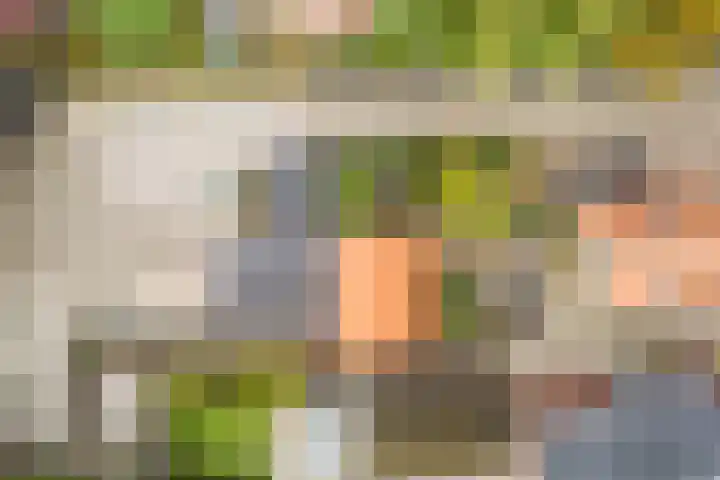 Tonnendijk 52 Vroomshoop thumbnail 74
