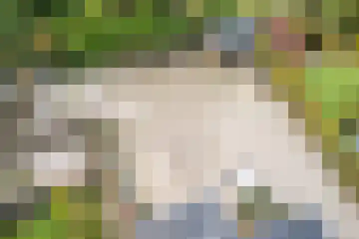 Tonnendijk 52 Vroomshoop thumbnail 75
