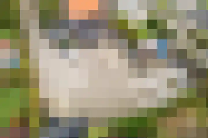 Tonnendijk 52 Vroomshoop thumbnail 76
