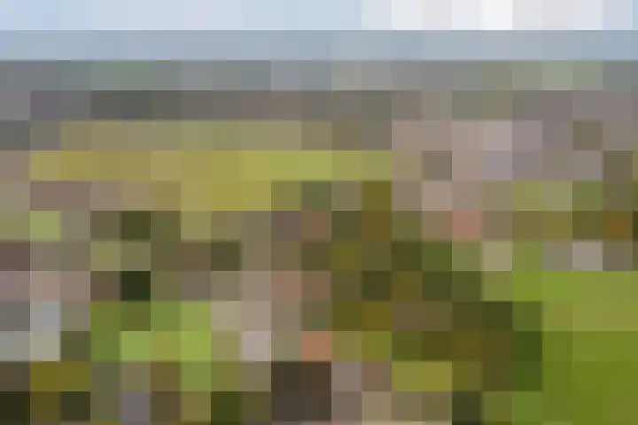 Tonnendijk 52 Vroomshoop thumbnail 77