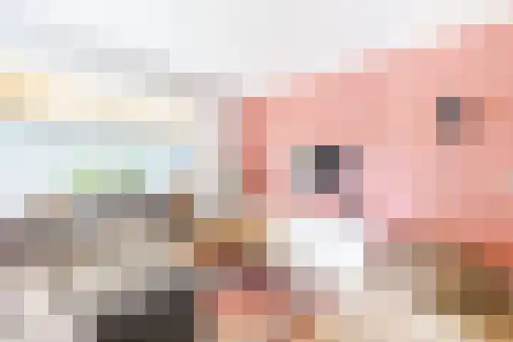 Tonnendijk 52 Vroomshoop thumbnail 8