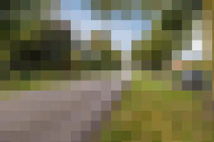 Tonnendijk 52 Vroomshoop thumbnail 80