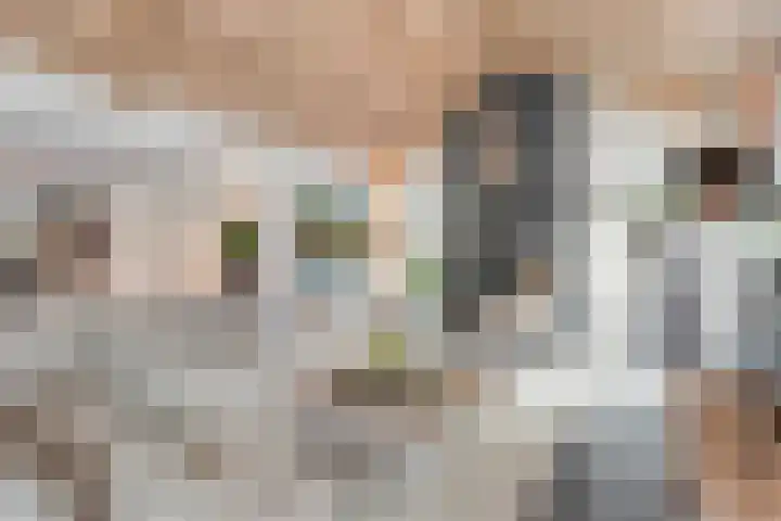 Tonnendijk 88 Vroomshoop thumbnail 11
