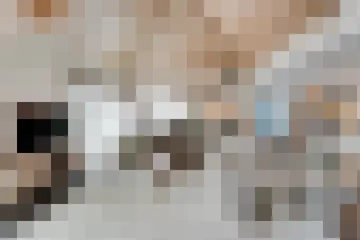 Tonnendijk 88 Vroomshoop thumbnail 12