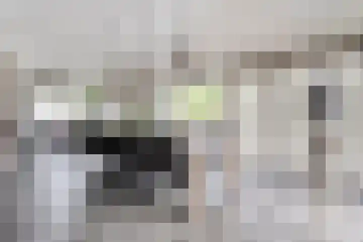 Tonnendijk 88 Vroomshoop thumbnail 13