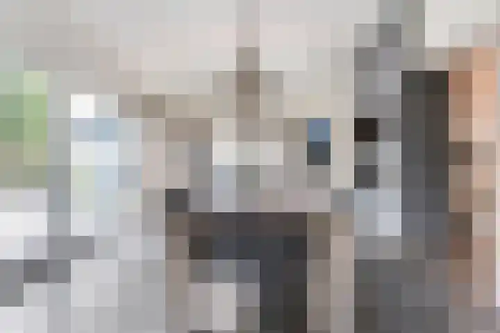 Tonnendijk 88 Vroomshoop thumbnail 14