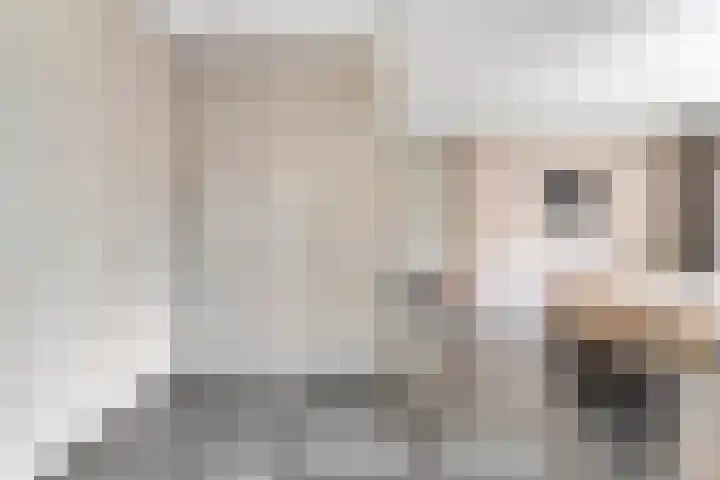 Tonnendijk 88 Vroomshoop thumbnail 19
