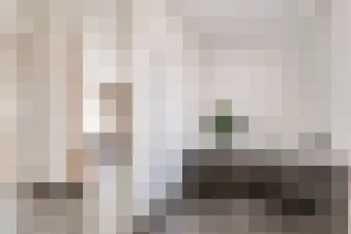 Tonnendijk 88 Vroomshoop thumbnail 20
