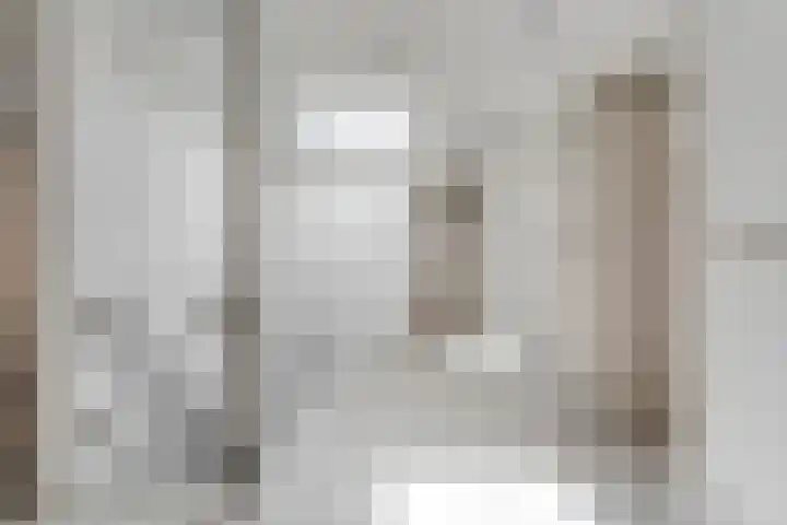 Tonnendijk 88 Vroomshoop thumbnail 22