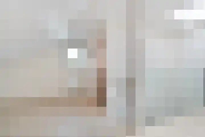 Tonnendijk 88 Vroomshoop thumbnail 23