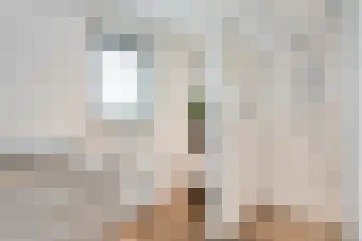 Tonnendijk 88 Vroomshoop thumbnail 27