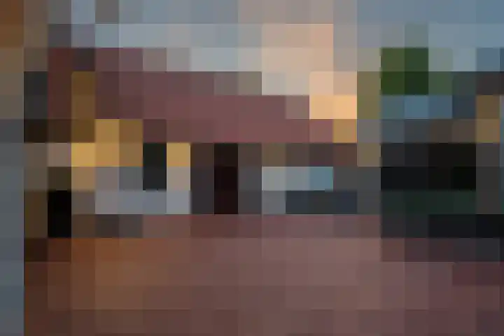 Tonnendijk 88 Vroomshoop thumbnail 30