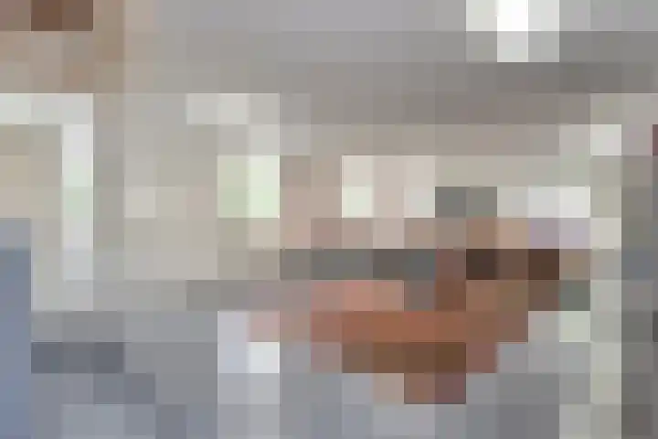 Tonnendijk 88 Vroomshoop thumbnail 31