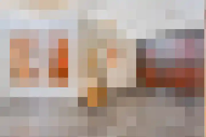 Tonnendijk 88 Vroomshoop thumbnail 33