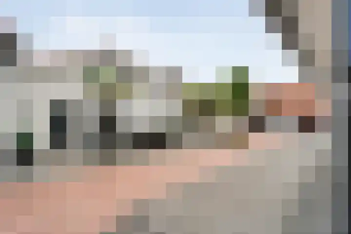 Tonnendijk 88 Vroomshoop thumbnail 37