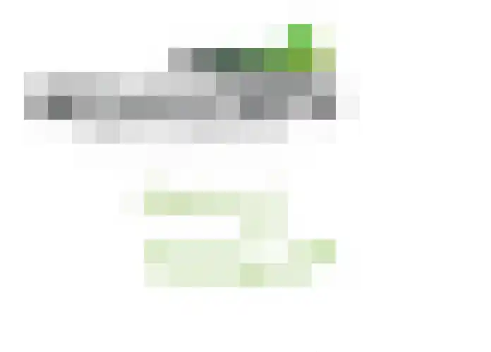 Tonnendijk 88 Vroomshoop thumbnail 38