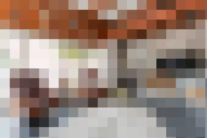 Tonnendijk 88 Vroomshoop thumbnail 39