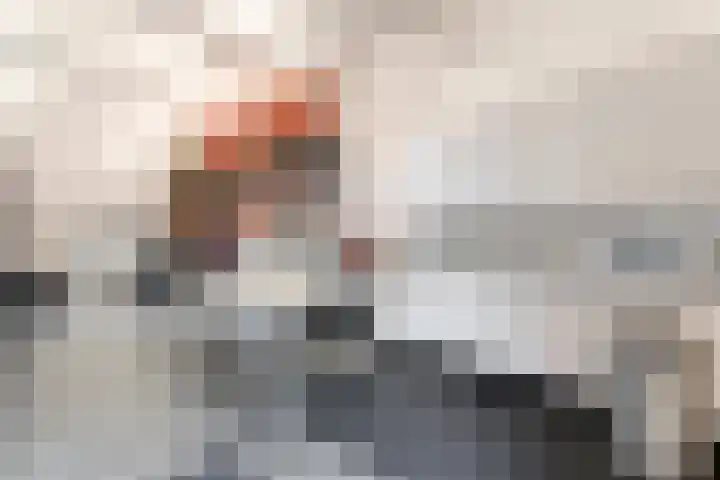 Tonnendijk 88 Vroomshoop thumbnail 42