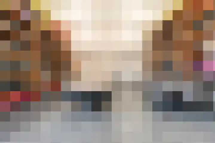 Tonnendijk 88 Vroomshoop thumbnail 43