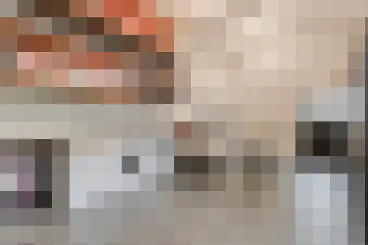 Tonnendijk 88 Vroomshoop thumbnail 44