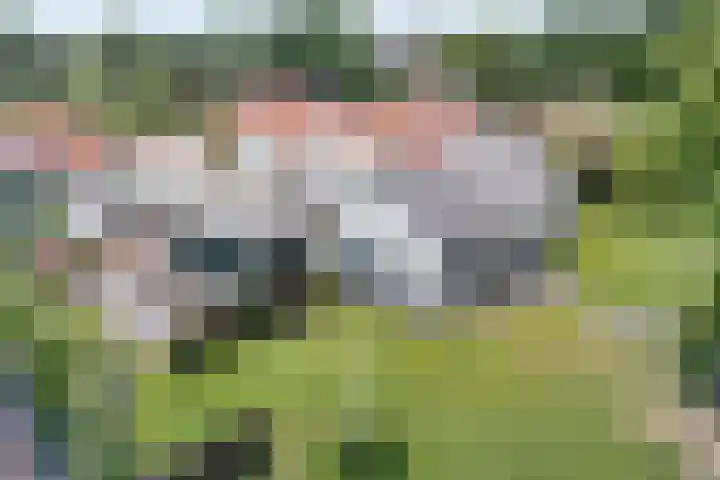 Tonnendijk 88 Vroomshoop thumbnail 45