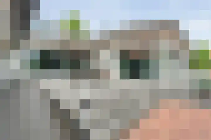 Tonnendijk 88 Vroomshoop thumbnail 46