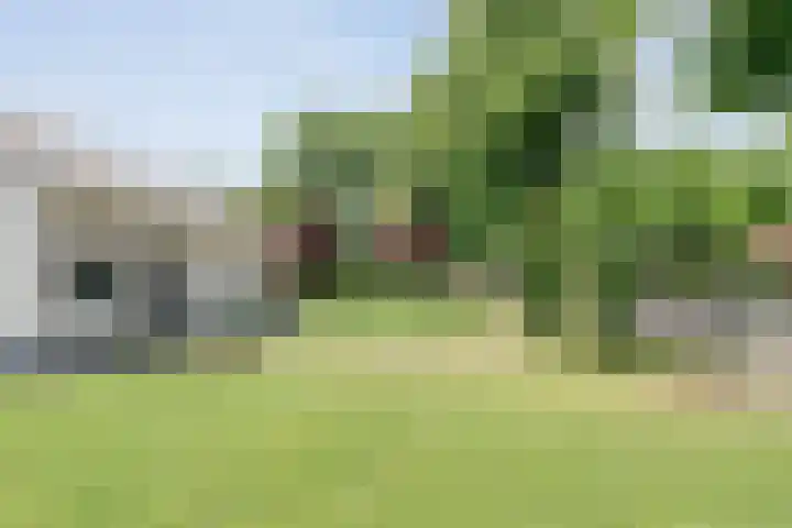 Tonnendijk 88 Vroomshoop thumbnail 47