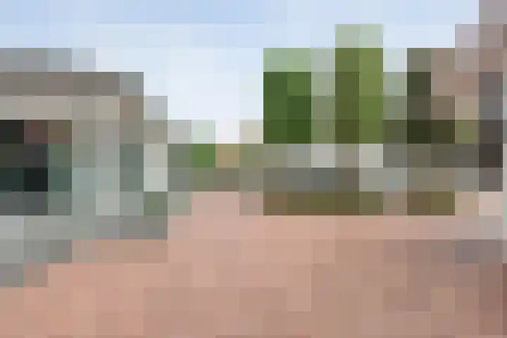 Tonnendijk 88 Vroomshoop thumbnail 48