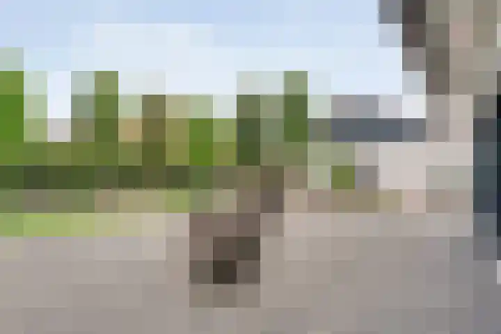 Tonnendijk 88 Vroomshoop thumbnail 49
