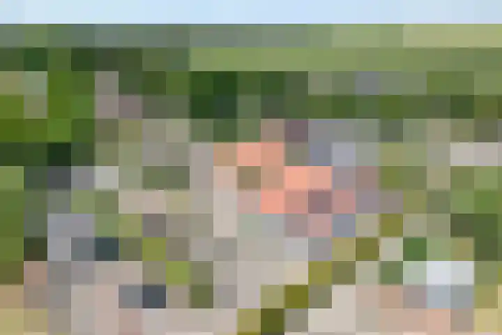 Tonnendijk 88 Vroomshoop thumbnail 5