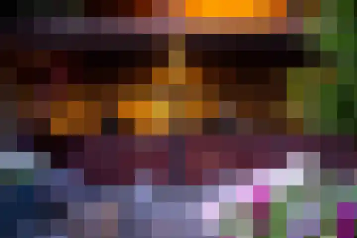 Tonnendijk 88 Vroomshoop thumbnail 50