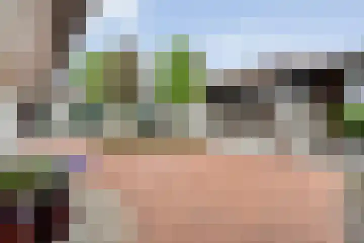 Tonnendijk 88 Vroomshoop thumbnail 51