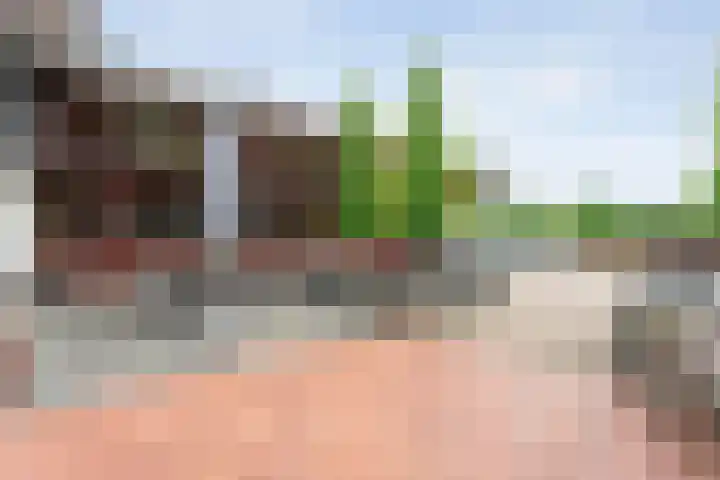 Tonnendijk 88 Vroomshoop thumbnail 52